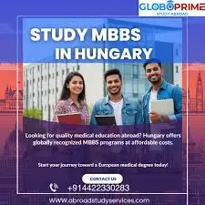 GloboPrime Study Abroad